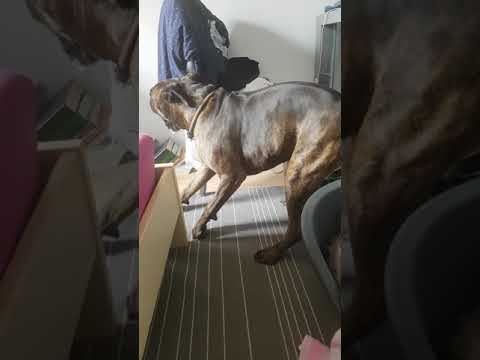 Atak padaczki...dla ostrzeżenia!!