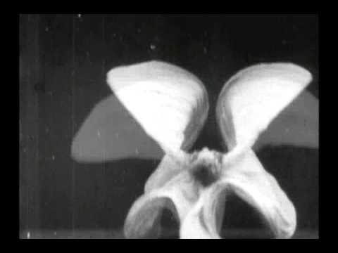 Danse serpentine par Mme. Bob Walter 1899 Serpentine Dance - Silent Short Film - Alice Guy