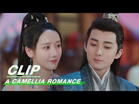 Clip: Xu & Zhou Are Perfect Partners | A Camellia Romance EP16 | 许纯纯的茶花运 | iQiyi