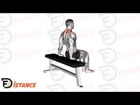 Dips scapulaires - Exercice Dips scapulaires en vidéo