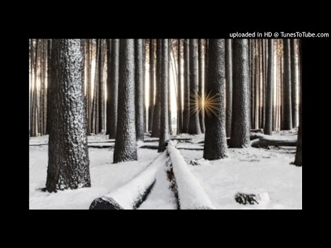 Most Lenyora, Komplexity & Decency Ft Dindy - Never Leave (Original Mix)