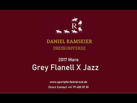 Sold: Grey Flanell x Jazz  -  2017 Mare  -  Young Dressage Horse For Sale
