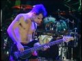 Red Hot Chili Peppers - Warped [Live, Reading Festival - England, 1994]