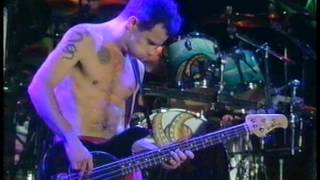 Red Hot Chili Peppers - Warped [Live, Reading Festival - England, 1994]