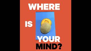 NVDES - WHERE IS YOUR MIND? (AUDIO)