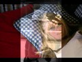 Collection Brigitte Bardot montage Bruno Ricard ...