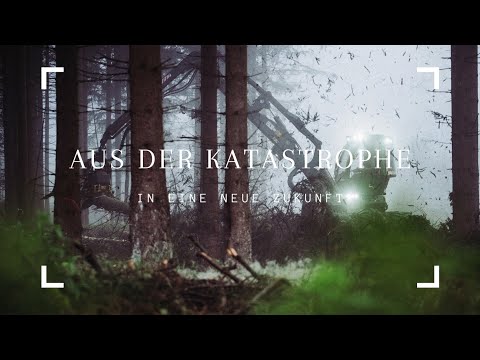 Aus der Katastrophe in eine neue Zukunft - Veränderung der Fichtenwälder im Harz
