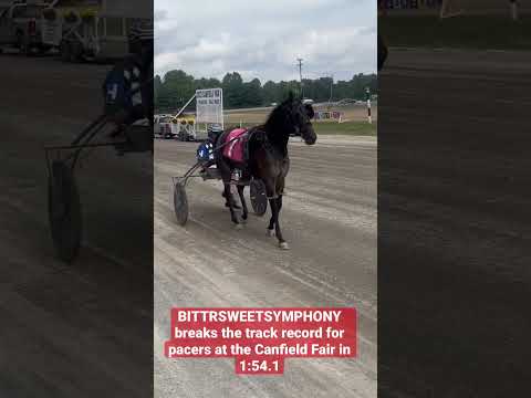 , title : 'BITTRSWEETSYMPHONY! #shorts #harnessracing #standardbred #horse #snoopdogg #fyp #fypシ'