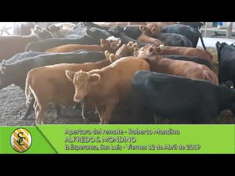 12-04-19 - Apertura del remate - Roberto Mondino - Alfredo S. Mondino - B.Esperanza (S.L.)