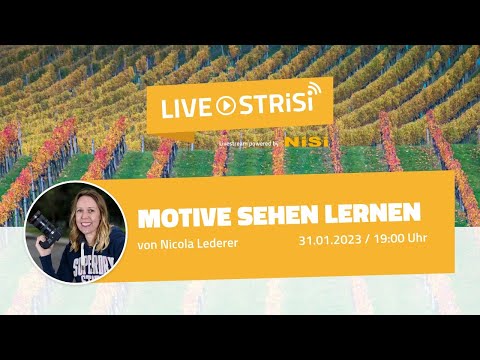 "Motive sehen lernen" von Nicola Lederer