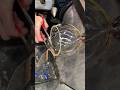GLASS BLOWING Compilation Glass Cutting Molding And More