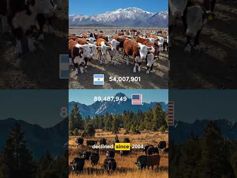 This Country Lost 4 Million Cattle in 20 Years