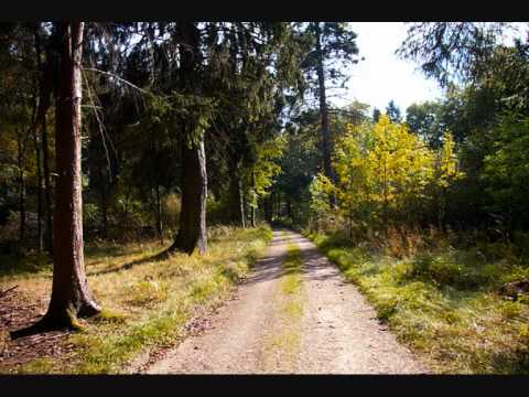 Part1 DJ Westbam @Craigmyle1992.wmv