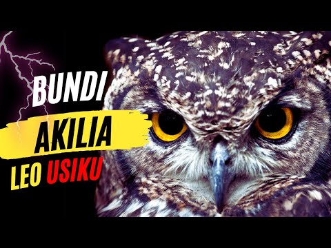 BUNDI AKILIA INAMAANISHA NINI