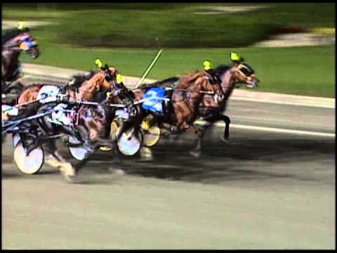 2012 Armstrong Breeder of the Year Award