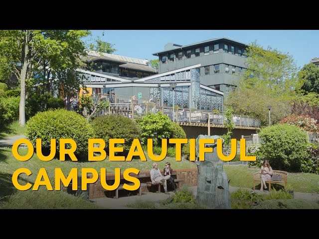UNIVERSITY OF WINCHESTER