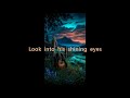 Gordon Lightfoot  - Minstrel Of The Dawn Live BBC 1972 Karaoke