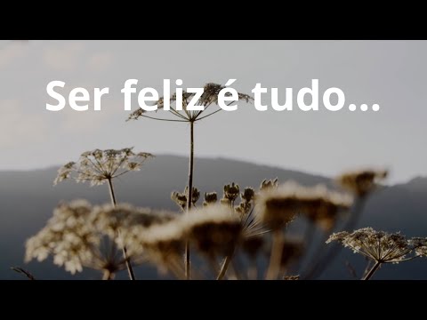 Ser feliz é tudo... - Momento Espírita