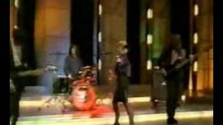 The Primitives - Thru The Flowers