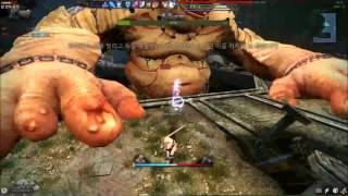 아리샤들을 위한 브라하 부파와 기타 팁들