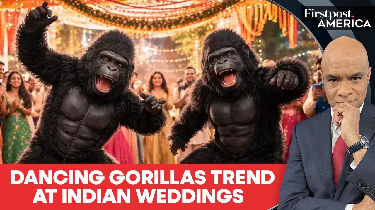 Why Are Dancing Gorillas Attending Gen Z Indian Weddings? | Firstpost America | N18G