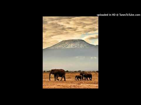 (FREE) Gilli feat. Larry44 - "SAFARI" | Type Beat 2022