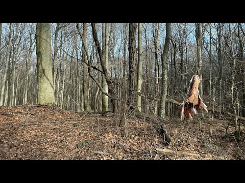 Troglas #7 - Enciklopedija užasa