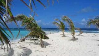 Feel Your Love - Playmen