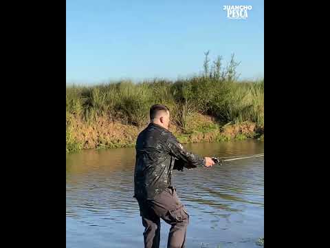 Cuaí Grande Parte II #pesca #fishing #corrientes #Santotome