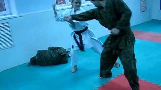 preview picture of video 'DrobyshevskyKarateSystem:BUNKAI HEIAN YONDAN SHIHO-2-Whirlwind'