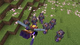 Elitra-Mace Ustası Vs MinecraftSMP 2
