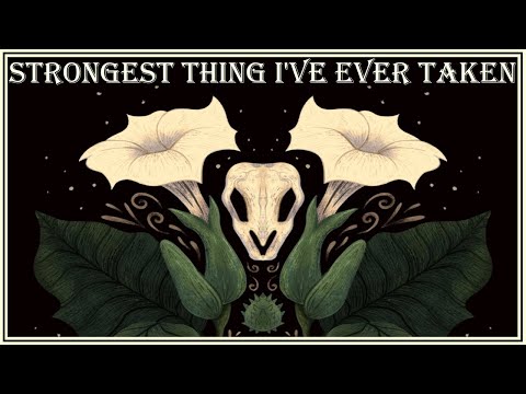 Strongest Thing I've Ever Taken - A Datura Trip Report