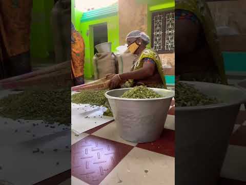 Green Cardamom Kerala