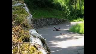 Longboarding - Sell It Out (FSMartin)