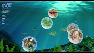 Original Living Springs Interactive Work Sample