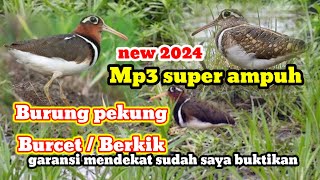 Download lagu SUARA BURUNG PEKUNG / BERKIK #suaraburungMP3 #suaraburungpekung #suaraburungburcet #sniperdoorplook mp3 Download lagu SUARA BURUNG PEKUNG / BERKIK #suaraburungMP3 #suaraburungpekung #suaraburungburcet #sniperdoorplook mp3