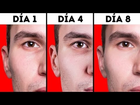 ¿Qué Pasaría Si Durmieras Solo 4 Horas Al Día?