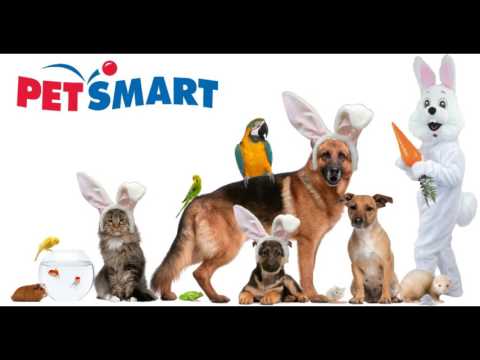 Petsmart Coupons And Discounts