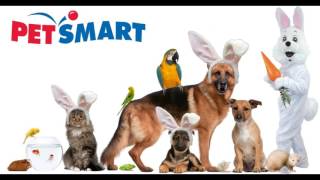 Petsmart Coupons and Discounts