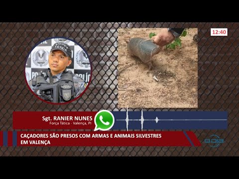 Caçadores são presos com armas e animais silvestres em Valença 11 01 2021