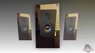 Video thumbnail for Micca PB42X Powered Bookshelf Speakers Review by Audio Fan Club