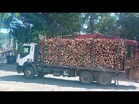 PORTO FLUVIAL de ITAPIRANGA SC SANTA CATARINA RIO URUGUAI divisa RIO GRANDE DO SUL BRASIL 