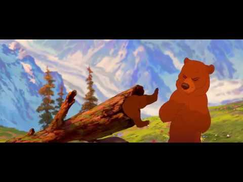 O pé na Estrada eu Vou Botar- Irmão Urso