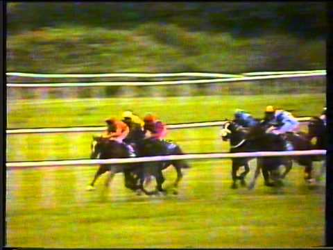 1989 - Leopardstown - Irish Champion Stakes - Carroll House