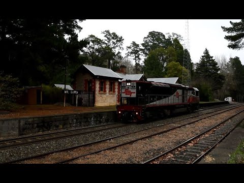 A SCT rescue loco 'LEL' SCT001, NR30  'Great Southern' kangaroo & 1st Nations Artwork NR34 29/06/22