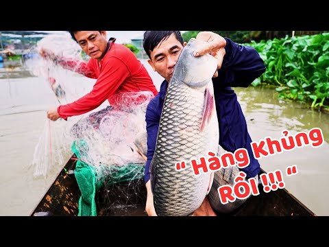 "In short": The HUGE Catfish on the Mekong River | People of the Six Provinces