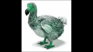 Troll Nacht  - The Dodos