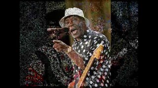 BUDDY GUY - I DIDN'T KNOW MY MOTHER HAS A SON LIKE ME