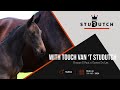 With Touch van 't Studutch