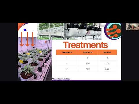 Allison Justice: Air Velocity's Hemp CEA Impact